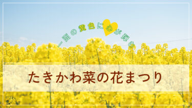 【滝川】丘陵地に広がる花畑に幸せいっぱい！たきかわ菜の花まつり