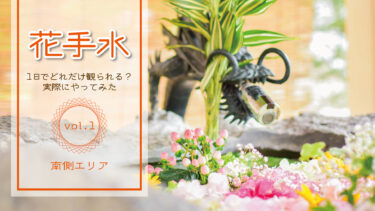 【札幌花詣2023】花手水をたくさん見るなら？効率的に回るモデルコース（南側エリア）