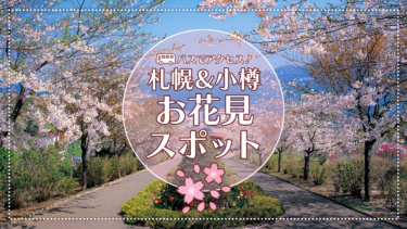 【札幌＆小樽】春の定番お花見スポット12選【バスでアクセス！】